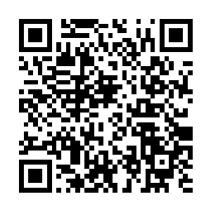 让后面的大胖子再也不敢在上课的时候扯我的辫子二维码生成