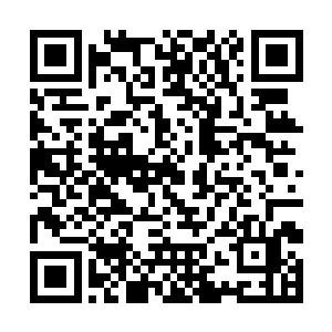 让后面追着五六座火属星巢里的龙族天仙都又惊又怒二维码生成