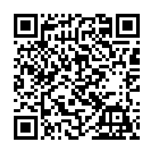 让咱们家酿制桂花稠酒和桃花稠酒作为贡酒送进宫里二维码生成