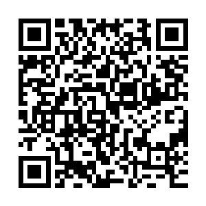 让咱们尽一切可能的帮着凤瑾元把当初当左相的感觉再给找回来二维码生成