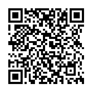 让回过神的司空雨浩目光复杂又宠溺的注目过来二维码生成