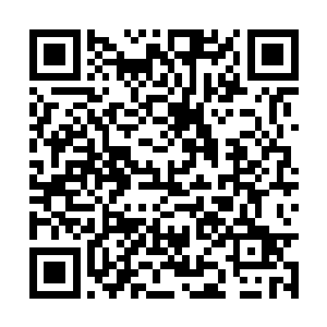 让在召唤狗崽后就一直观察着他的雪如楼放下心来二维码生成