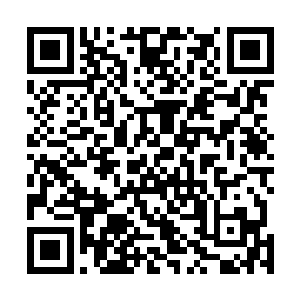 让多少人闻风丧胆的人物竟然此时乖巧地跟个小宝宝一样二维码生成