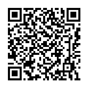 让大家分开搜索变成了虚灵的仙家进入镇界鼎后二维码生成