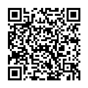 让天灵殿殿主的元神分身放心大胆的进入自己的身体中二维码生成
