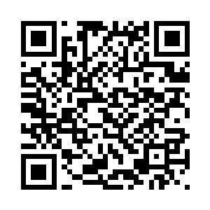 让天龙宗成为了整个修真界的禁忌二维码生成