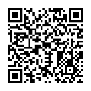 让太夏的每一个甲级城市都把全效药剂作为战略物资储存起来二维码生成