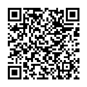 让夫人派人将你们收集到的海东青火速运到雁门关二维码生成