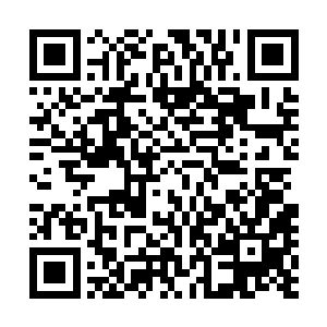 让奚赤至今想来犹自畅快――那古板的老头压了自己十几年二维码生成