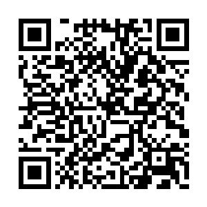 让奴婢们提醒主子闲来无事的时候去太子府转转二维码生成