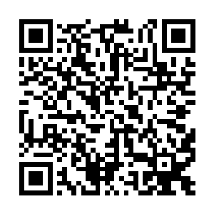 让奴家高冷的主子一而再再而三的在人前情绪外露二维码生成