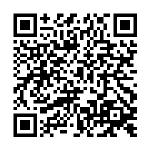 让她不由自主地就对这康颐生出一种亲近与信任之感二维码生成