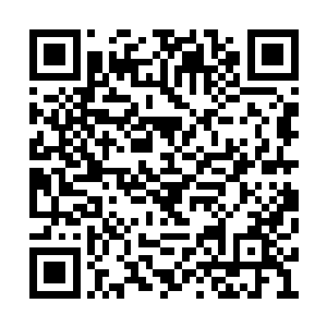 让她也跟着失去了生存的那极为渺茫的一线机会二维码生成