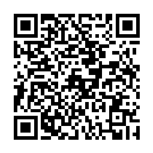 让她们全力保护好德川佳子的安全和肚子里周川的安全二维码生成