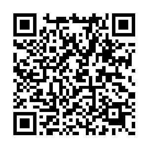 让她可以把握住时代变迁中的每一次转折和机遇二维码生成