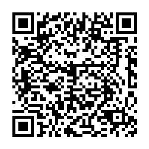 让她和天幸也算是明白了之前那些宾客们的下人被带走的目的是什么了二维码生成