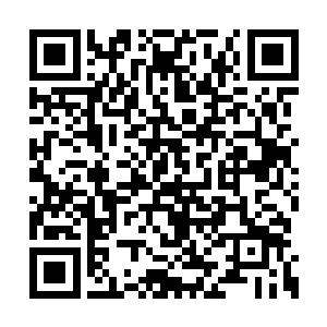 让她天天安排后宫的那些娘娘们到昭合殿去侍寝二维码生成