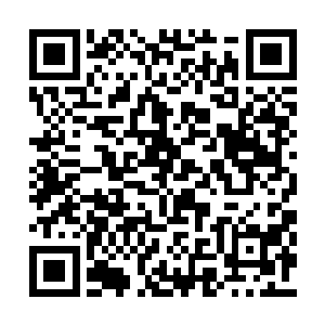 让她愿意在明知轩辕澈的死讯后重新回到白家来二维码生成