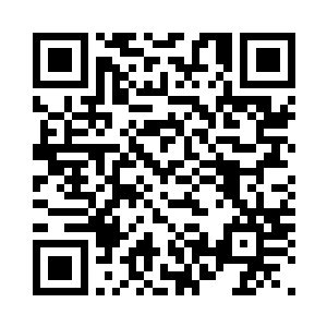 让她按照之前两人商量好的计划进行二维码生成