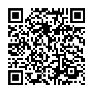 让她整天舞刀弄枪还教她胸毛凛凛的就是大英雄二维码生成