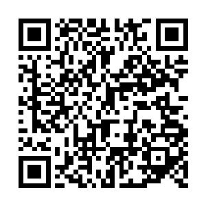 让她跟着你去欧洲转一转我觉得也是一个好主意二维码生成
