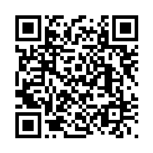 让孙权先笼络张昭二子张承以及张休二维码生成