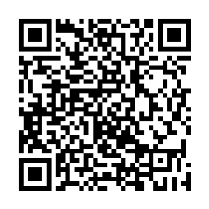 让孙阳都觉得这位年轻的中联部副部长还真的有些幽默感二维码生成
