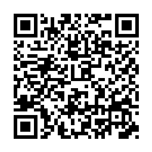 让季岚想要继续说下去的话全部梗在了嗓子眼里二维码生成