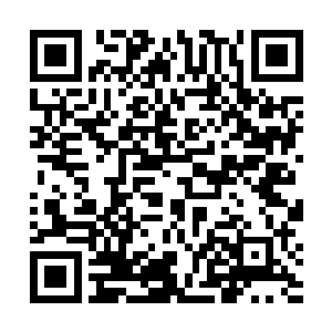 让它们并没有意识到那龙息火竟是在渐渐的改变着形态二维码生成