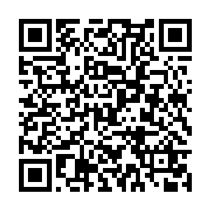 让它们能够飞快地吸收这些渗透下来的火焰的力量二维码生成