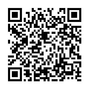 让安远在来京前就向熊猫电子提出了两个可行方案二维码生成