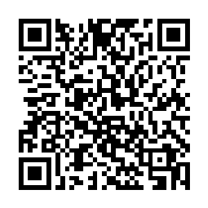 让安陵完全没有利用他磨砺自己新学到的仙术的意思二维码生成