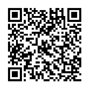 让宗成泽的脸色顿时就为之一僵通过把冯必成狼心狗肺二维码生成