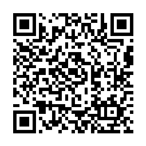 让宠物们又是愤怒又是蛋疼的不得不佩服那些海族的二维码生成