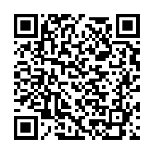 让宫凝烟和陆鬼往后逃走的时候都没办法全数避开二维码生成