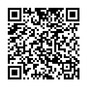 让少年一下子就掌握了可以改头换面的高级技巧……二维码生成