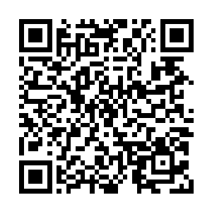 让巨蛇教会一直得不到什么有力的法术力量支援二维码生成
