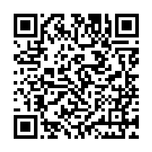 让已经连续一个月又一天适应了一万道剑气贯体的他二维码生成
