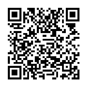 让巴克能放心的在灌木丛间不那么心惊胆战的前进二维码生成