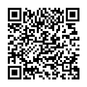 让巴克都忽略了原本一直等着接收的那些自己东欧打工存款二维码生成