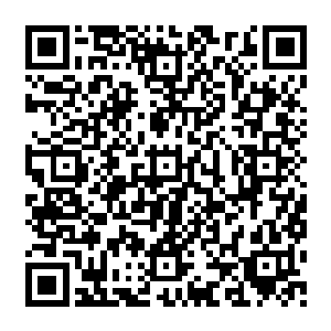 让师叔和苗老汉看着不要让魏厨子和大红这两个原本就不正常的人做出什么出格的事情二维码生成