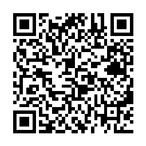 让希望将那些要渡劫的树妖和妖兽收进了希望的体内二维码生成