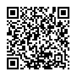 让广南王府配合太夏廷尉府调查当初的大荒门覆灭之事二维码生成