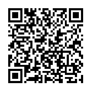 让张东城不禁忘了自己就是那被一箭射趴的倒霉蛋儿二维码生成