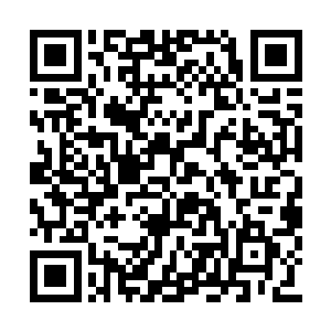 让张开双臂的雨果居然真的感受到了上升的气流二维码生成