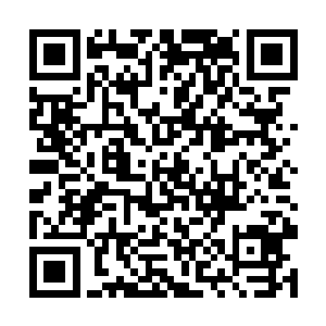 让张铁一直头疼无比的无间鹏王经第二个脉轮的凝聚二维码生成