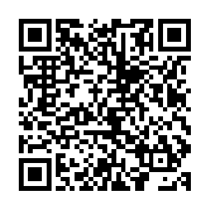 让张铁想用秘法查看一些这些人临死之前经历了什么都做不到二维码生成