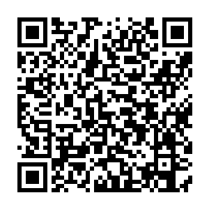 让徐堂然去干这种见不得人的事情也不仅仅是因为徐堂然擅长干这种缺德事二维码生成