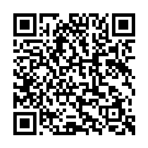 让徐无言与刘长老两人都是不由得暗暗吃了一惊二维码生成