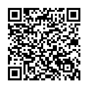 让得半神甚至主神的数量都提升到了一个恐怖的高度二维码生成